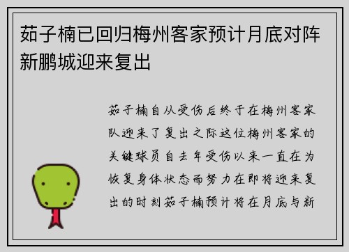 茹子楠已回归梅州客家预计月底对阵新鹏城迎来复出